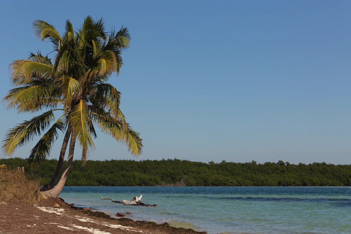 Bahia Honda State Park RV camping with Old Bahia Honda Bridge in background