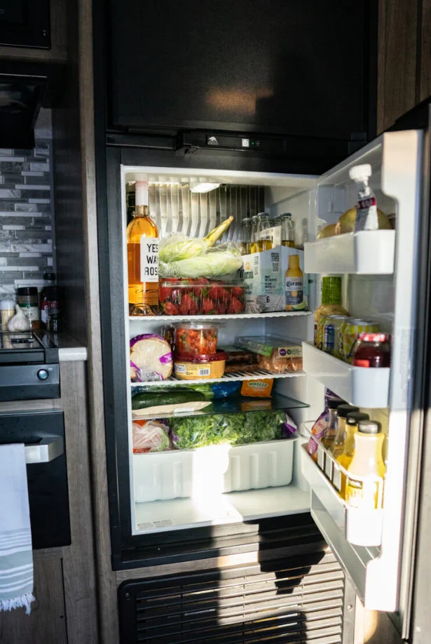 Norcold absorption fridge diagnostic on a Class C motorhome in eastern Idaho