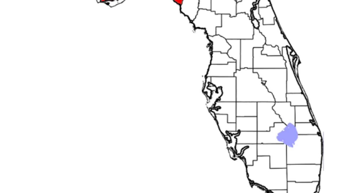 Florida Panhandle pine and oak forest in the Pensacola / Emerald Coast region