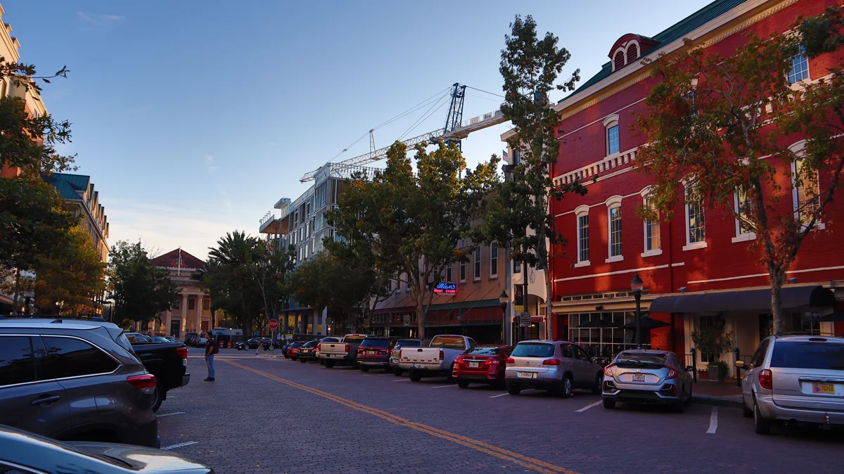 Gainesville Florida campus and live oak canopy in north-central Florida