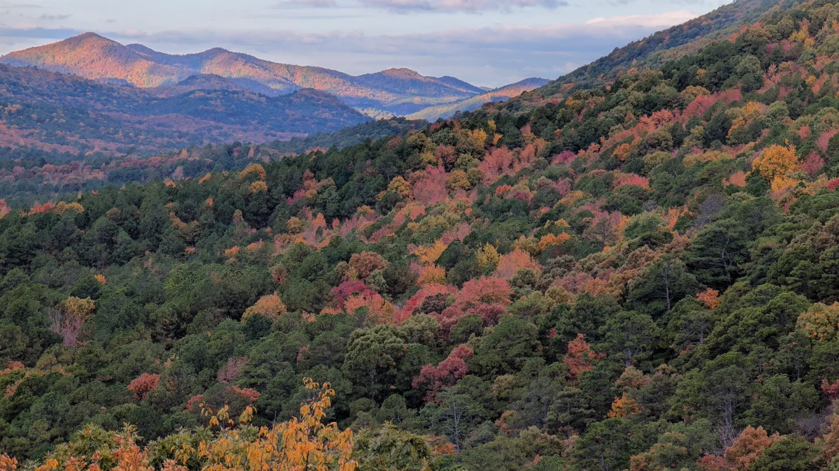 Sugar Creek through the Ouachita National Forest in Eastern Oklahoma's hill country