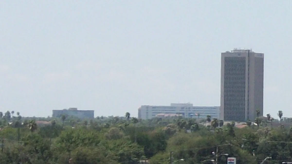 McAllen Texas and the Rio Grande Valley palm canopy near the Lower Rio Grande